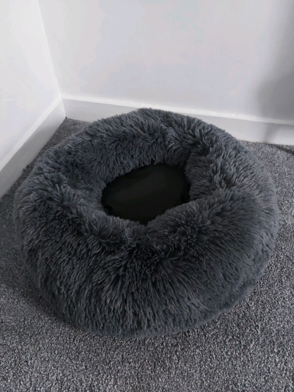 clever paws dog bed